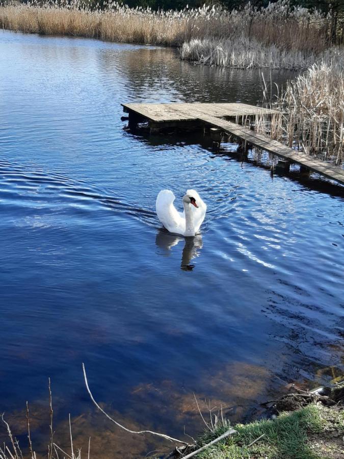 Domek Caloroczny Magjan Z Sauna Βίλα Złotów Εξωτερικό φωτογραφία